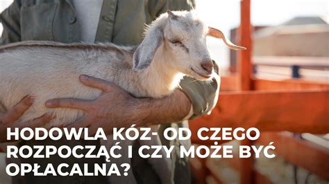 Hodowla kóz – od czego ją rozpocząć i czy może być。